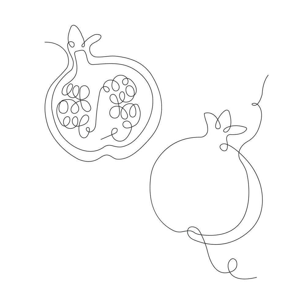 Pomegranate in continuous line art drawing style. Pomegranate minimalist black linear sketch isolated on white background. illustration vector