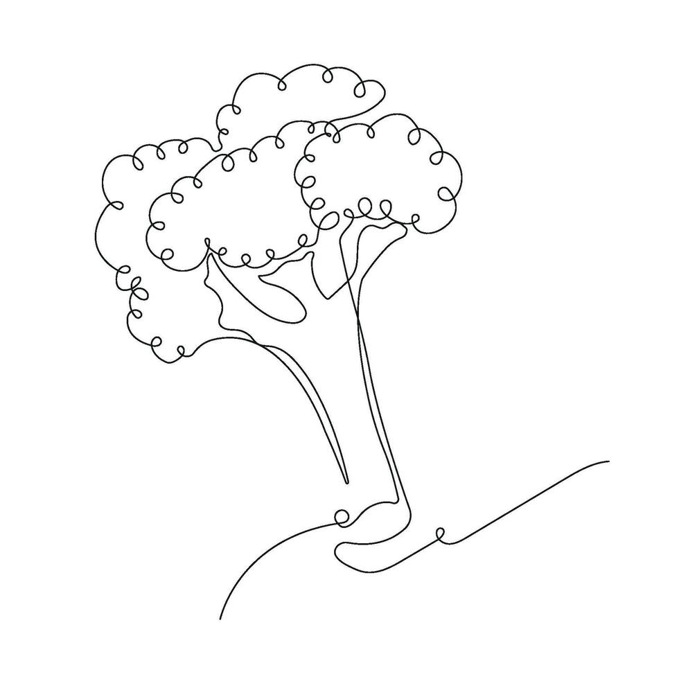 Broccoli in continuous line art drawing style. One broccoli minimalist black linear sketch isolated on white background. illustration vector
