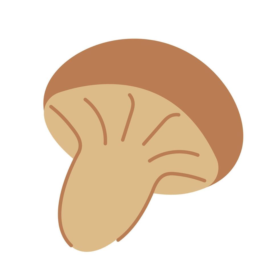 Mushroom illustration. Autumn harvest, mushroom isolated on white background. Nutrition, health, diet concept. Cozy autumn concept. Flat style. vector