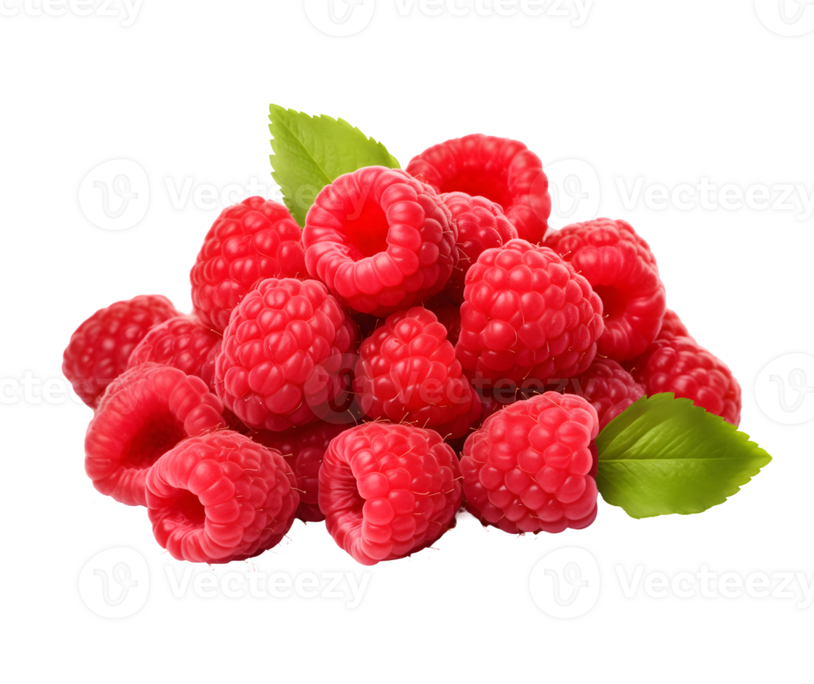 Raspberry with leaves png
