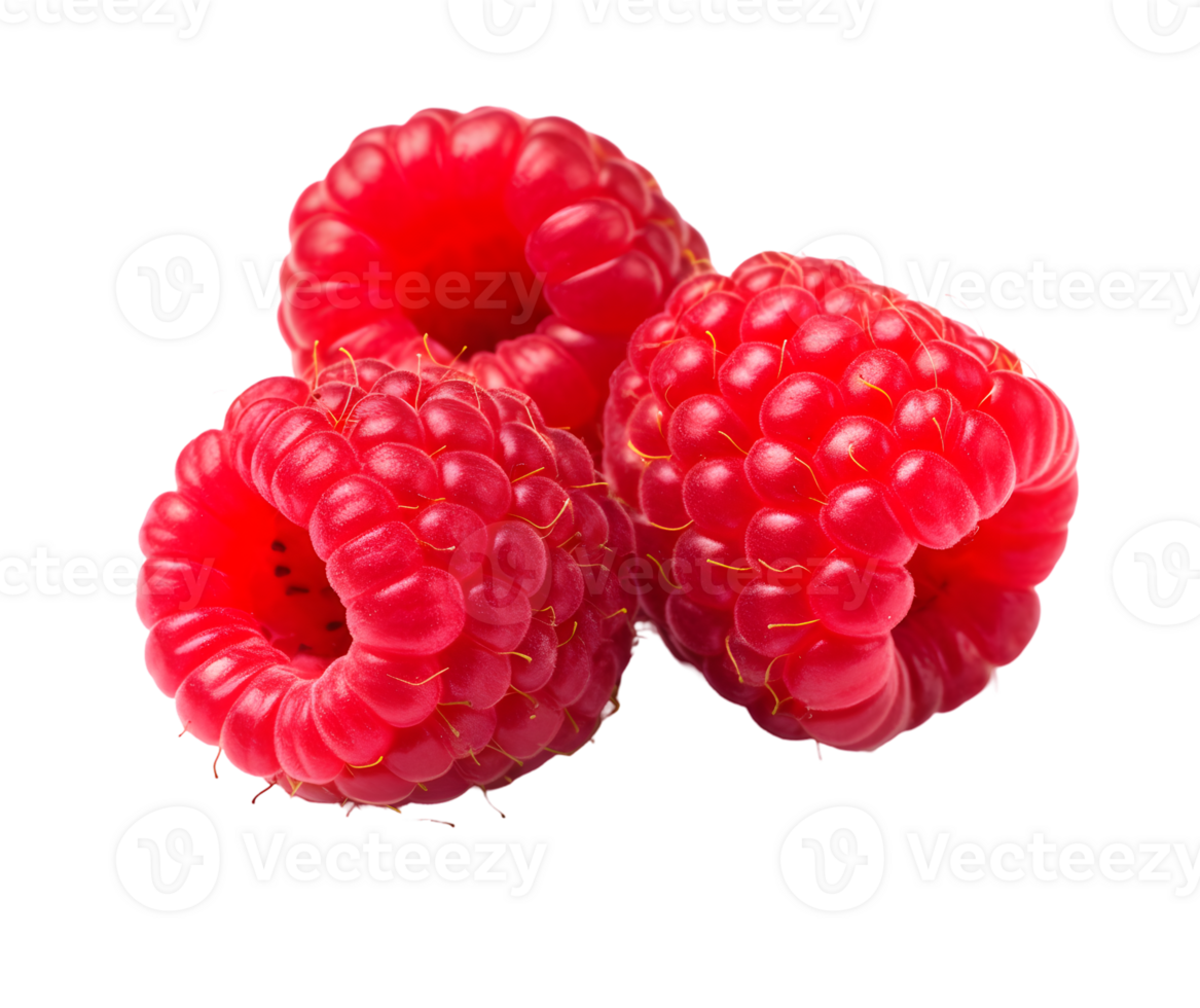 Raspberry with leaves png
