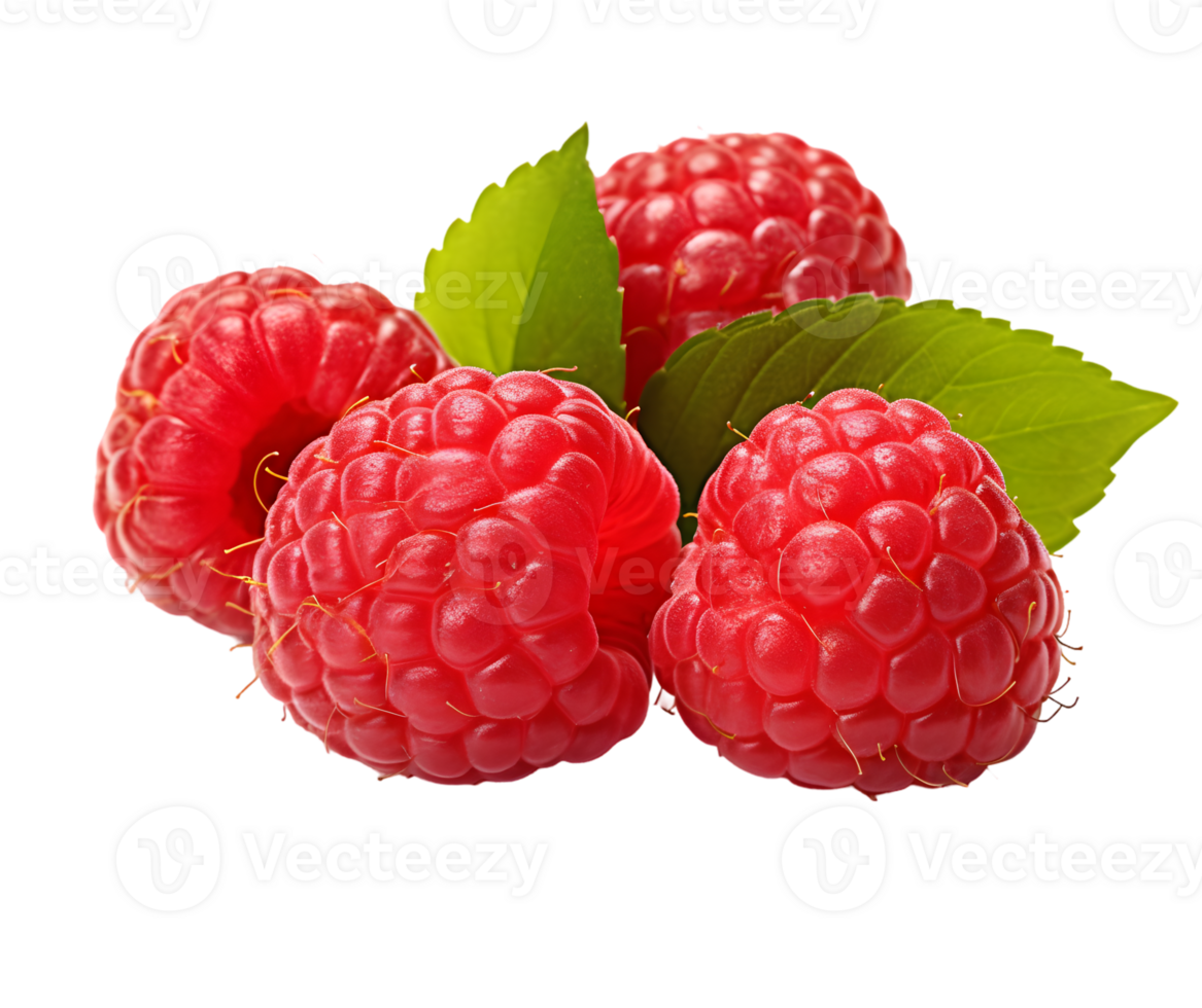 Raspberry with leaves png