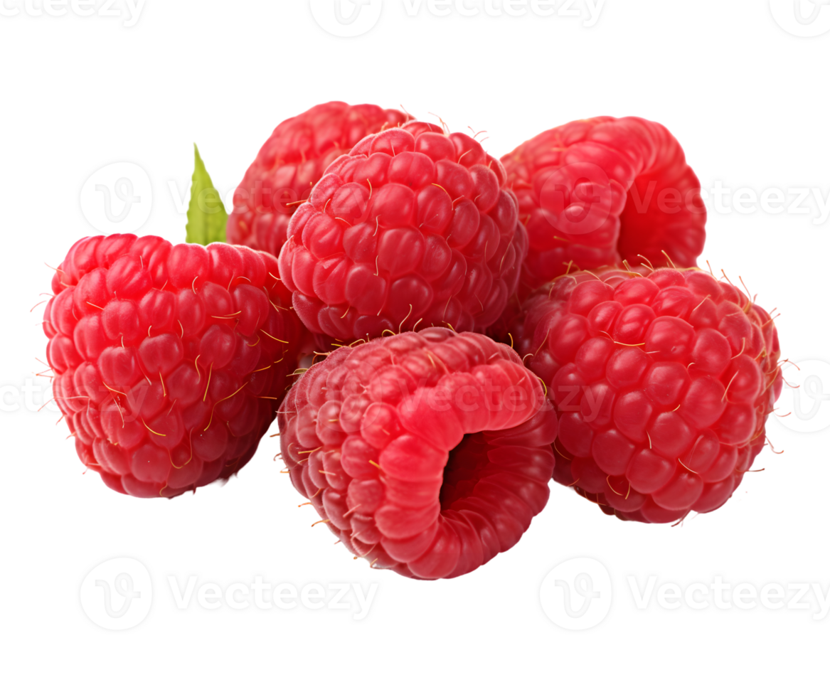 Raspberry with leaves png