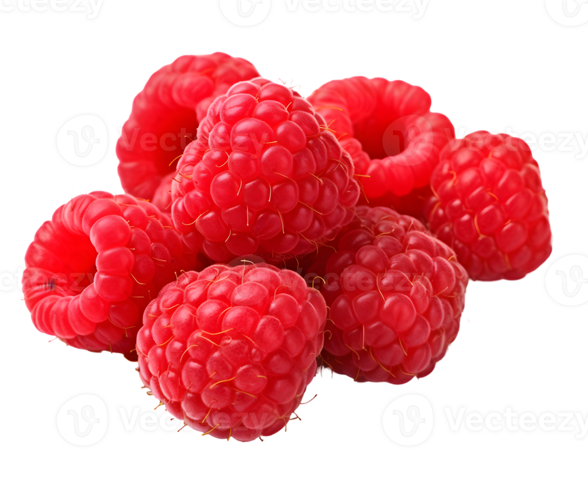 Raspberry with leaves png