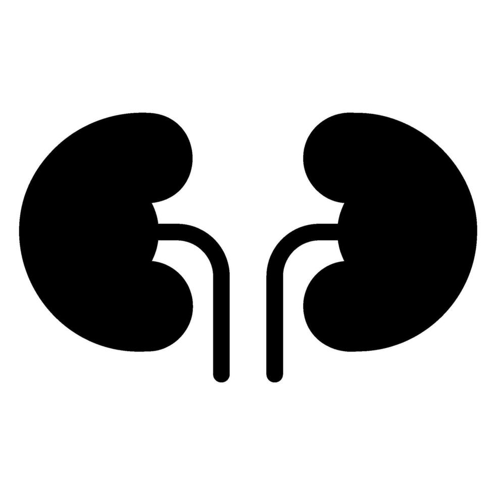 kidney glyph icon vector