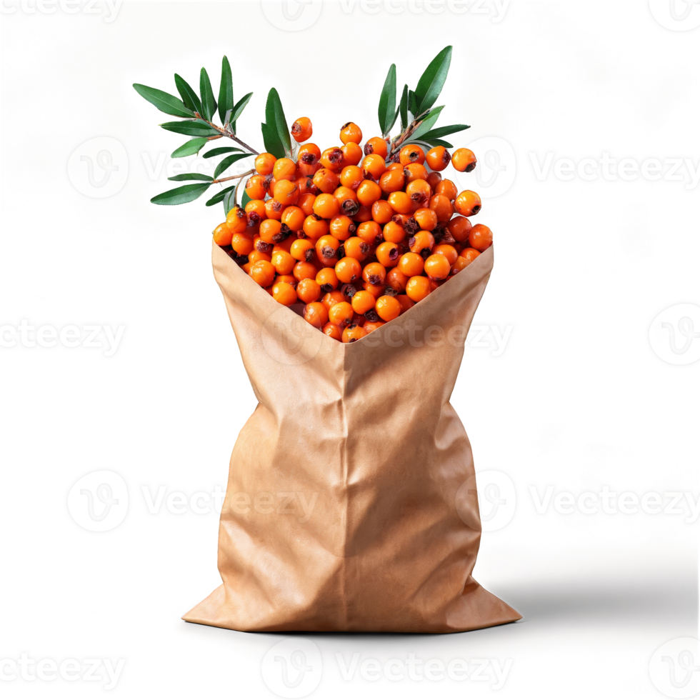 Natural paper bag overflowing with vitamin rich sea buckthorn and rosehip with bright berries tumbling png