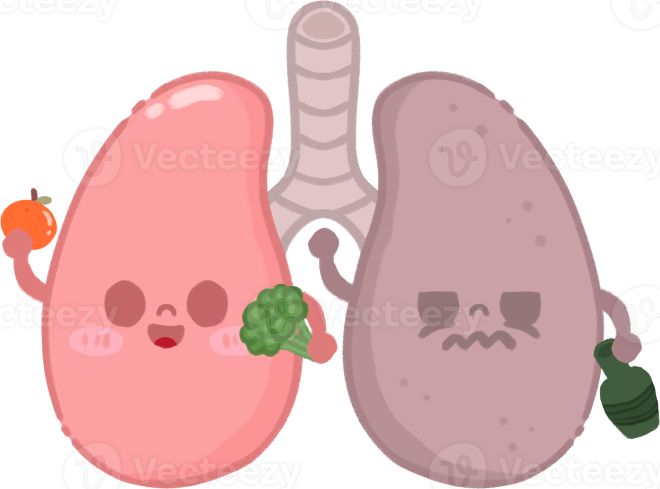 Healthy and Unhealthy Lung Character Illustration png