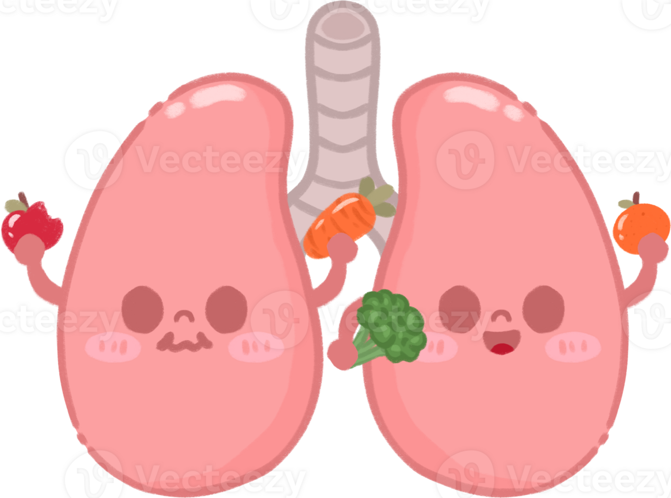 Healthy Lung Character Illustration png