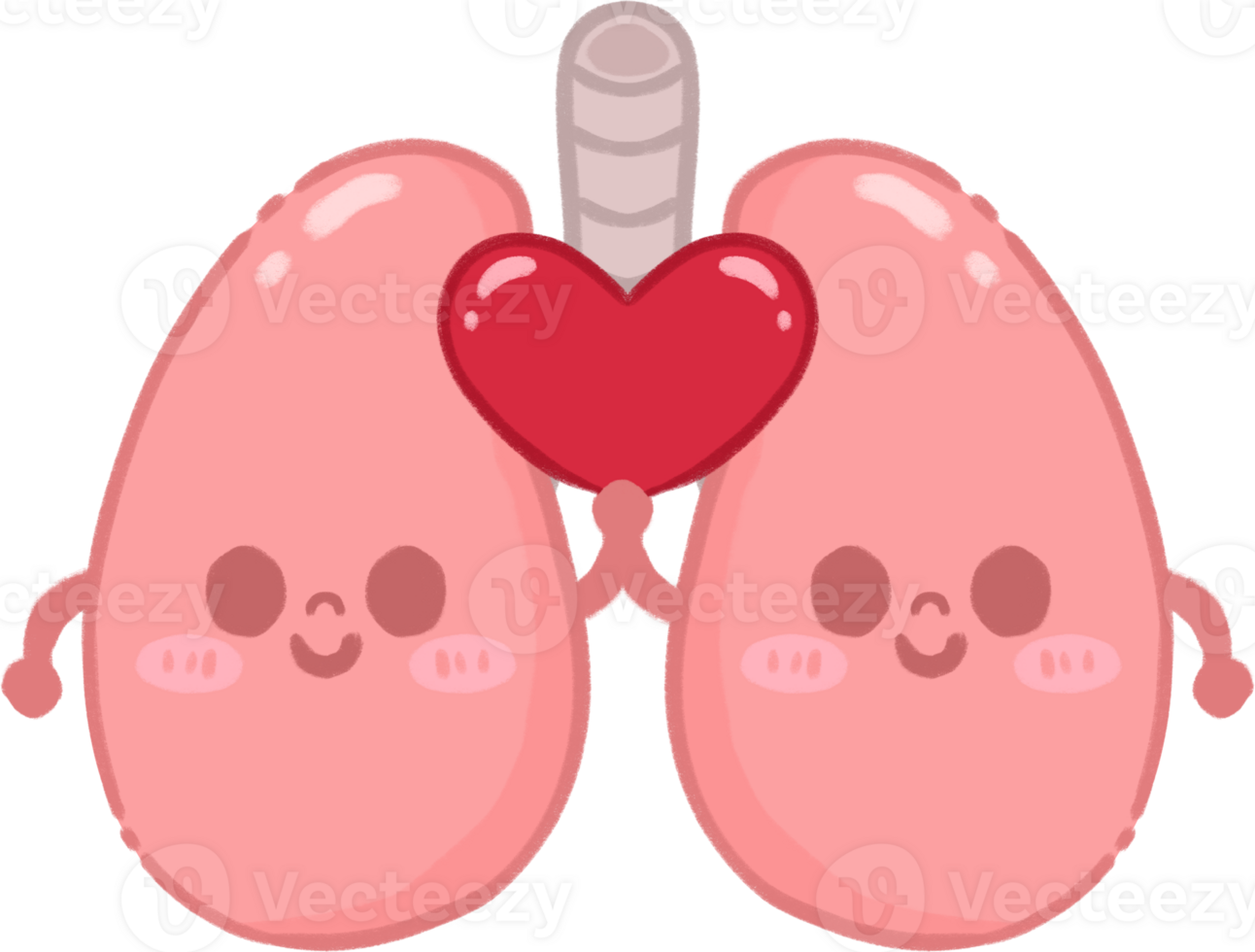 Happy Lung Character with Heart Illustration png