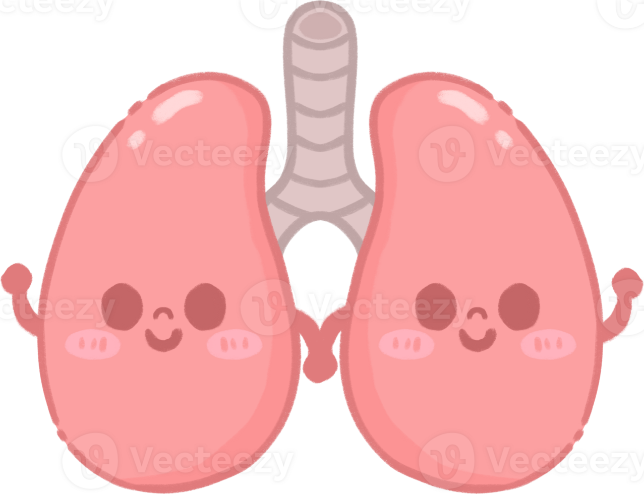 Happy Lung Character Illustration png