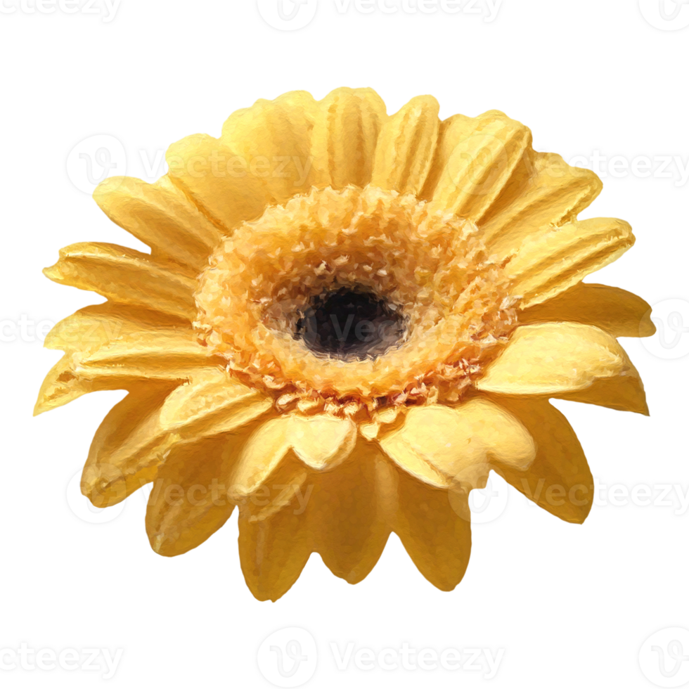Flower collection illustration elements,generated ai. png
