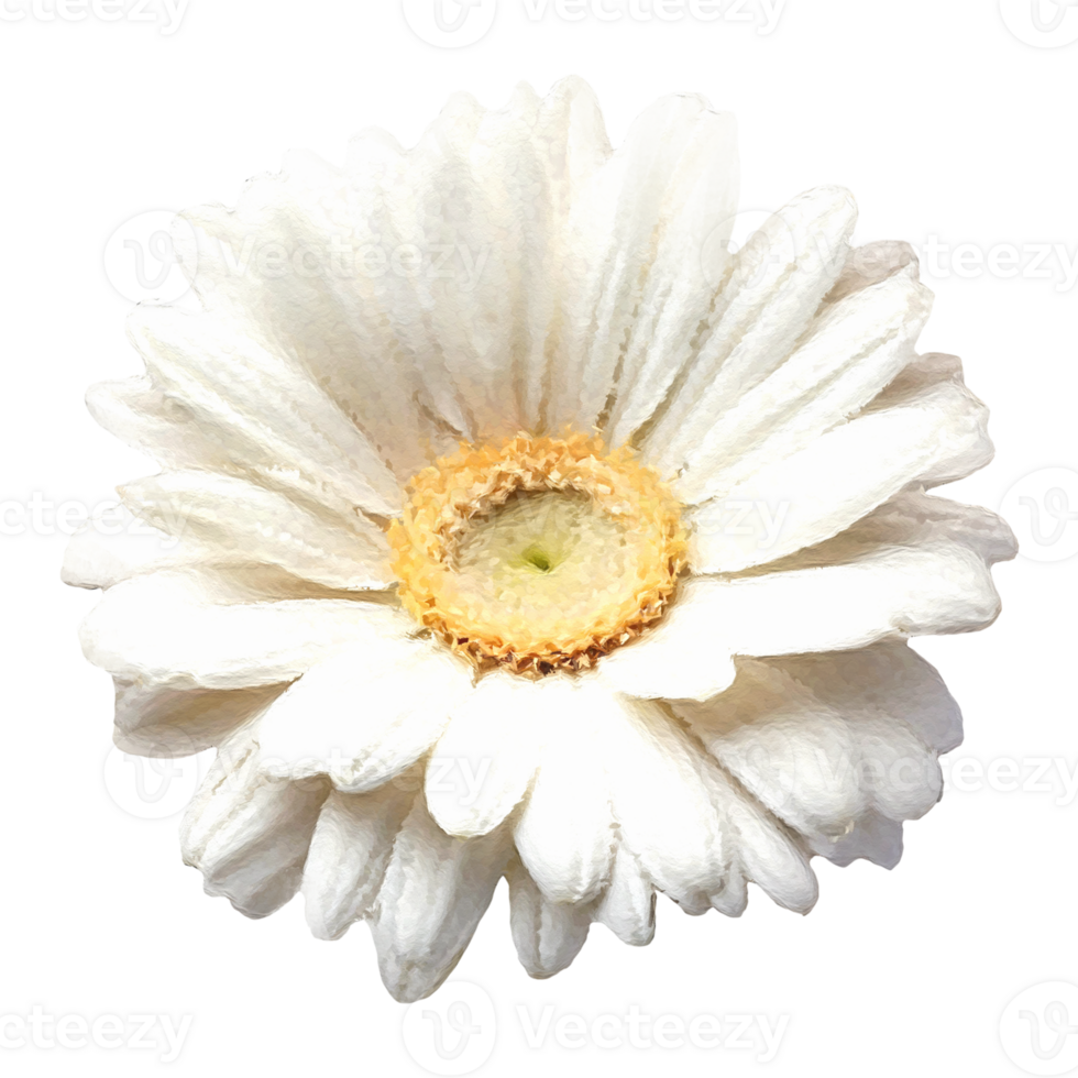 Flower collection illustration elements,generated ai. png