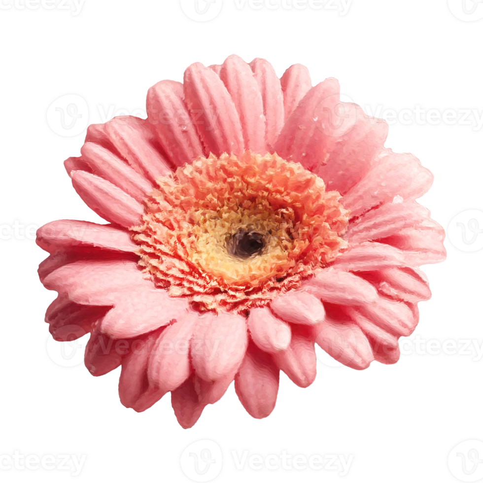 Flower collection illustration elements,generated ai. png