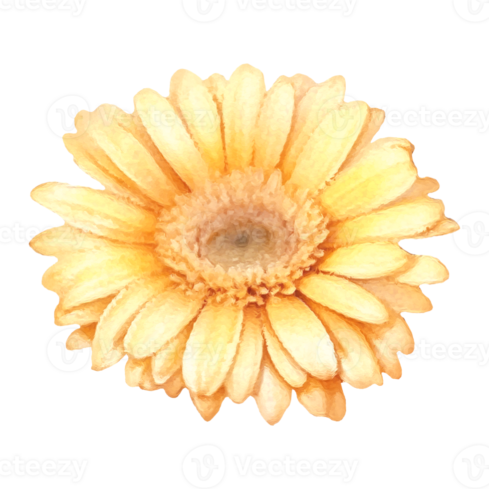 Flower collection illustration elements,generated ai. png