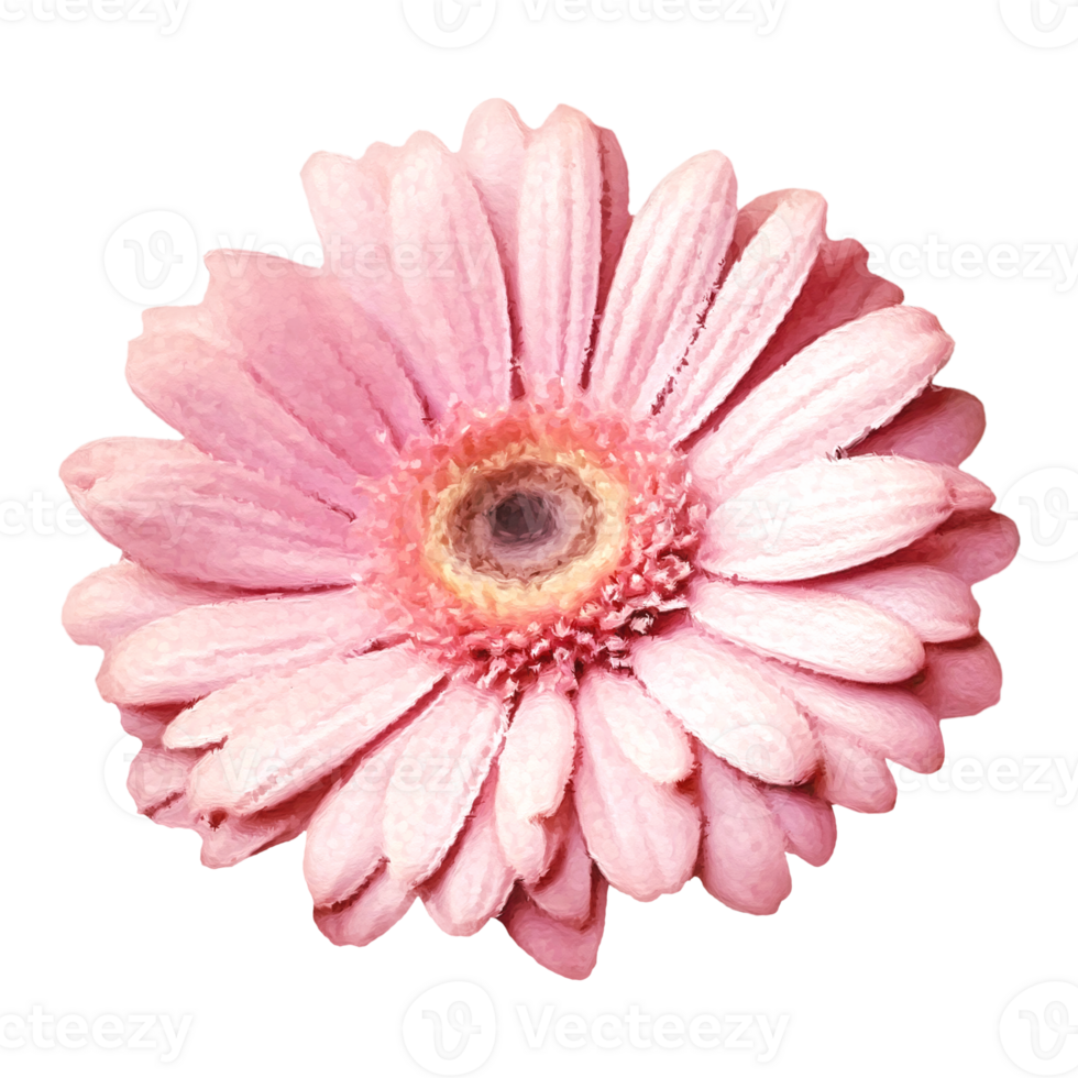 Flower collection illustration elements,generated ai. png