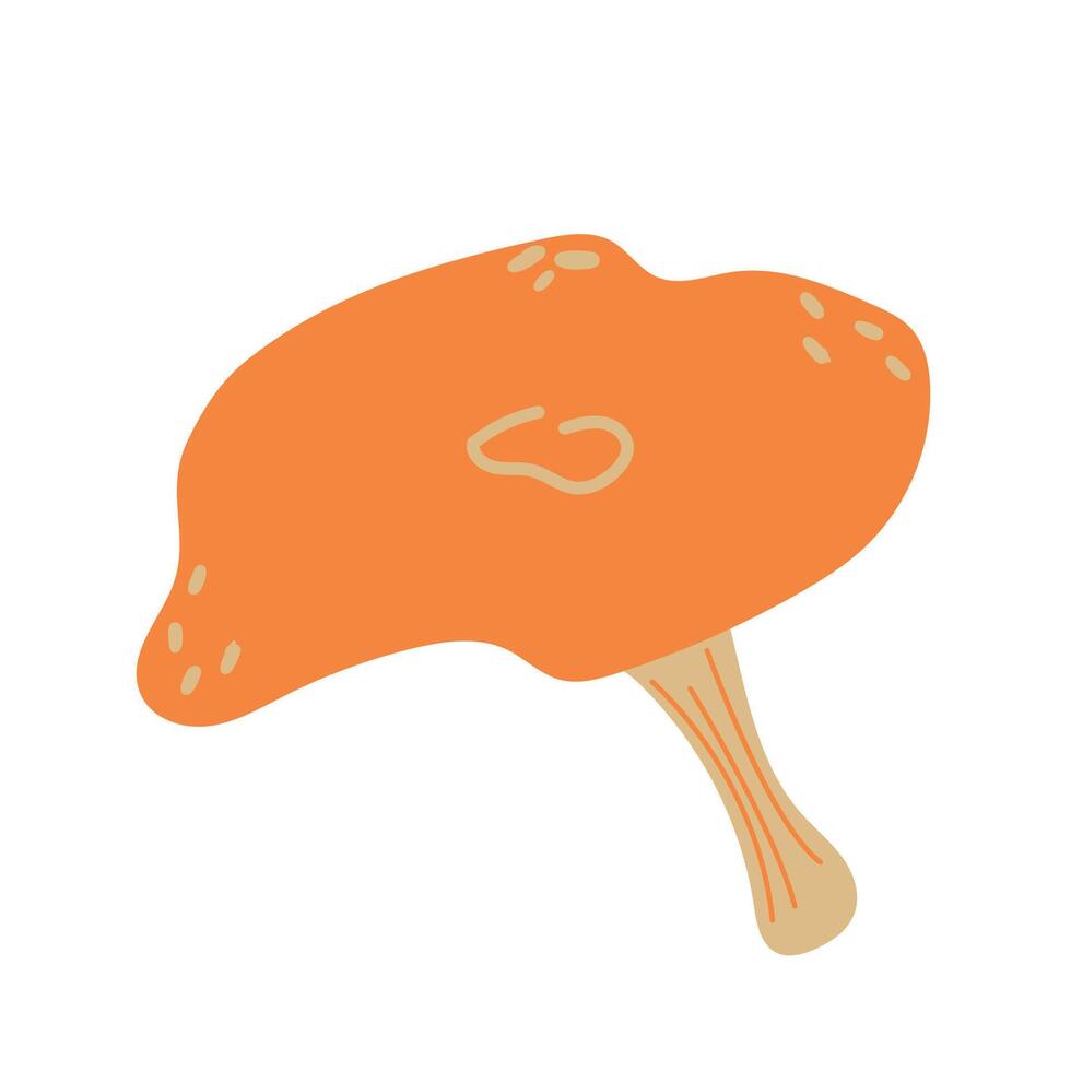 Mushrooms or chanterelles illustration. Autumn harvest, mushroom isolated on white background. Nutrition, health, diet concept. Cozy autumn concept. Flat style. vector