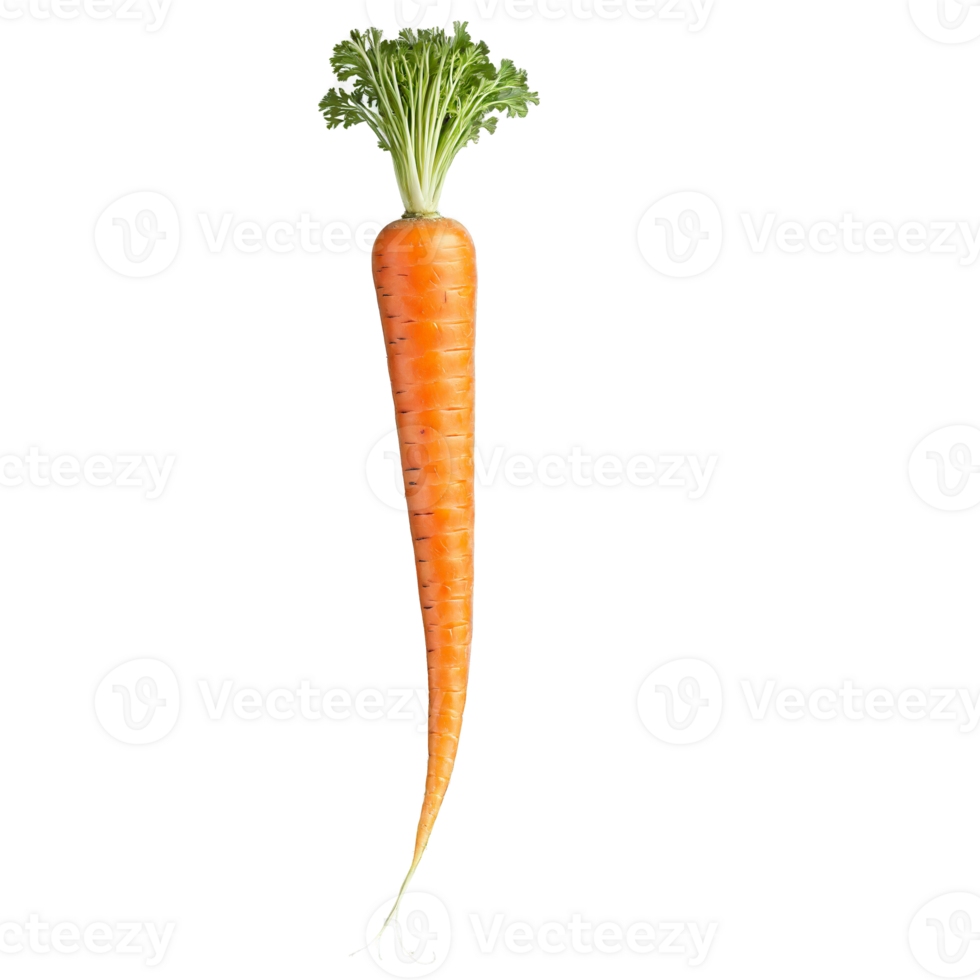 Carrot with peeled strips and green tops in dynamic swirl Food and culinary concept png