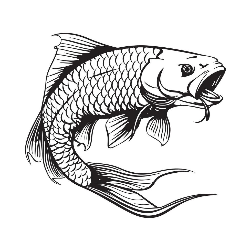 Arapaima Fish Design Illustration Stock Design isolated on white vector