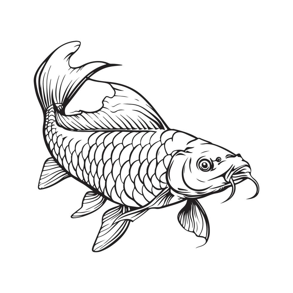 Arapaima Fish Design Illustration Stock Design isolated on white vector