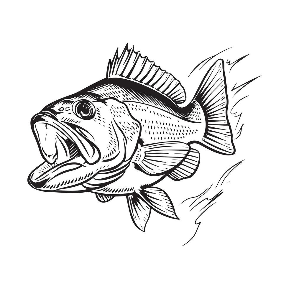 Fish Image Design. illustration of a Fish on white background vector