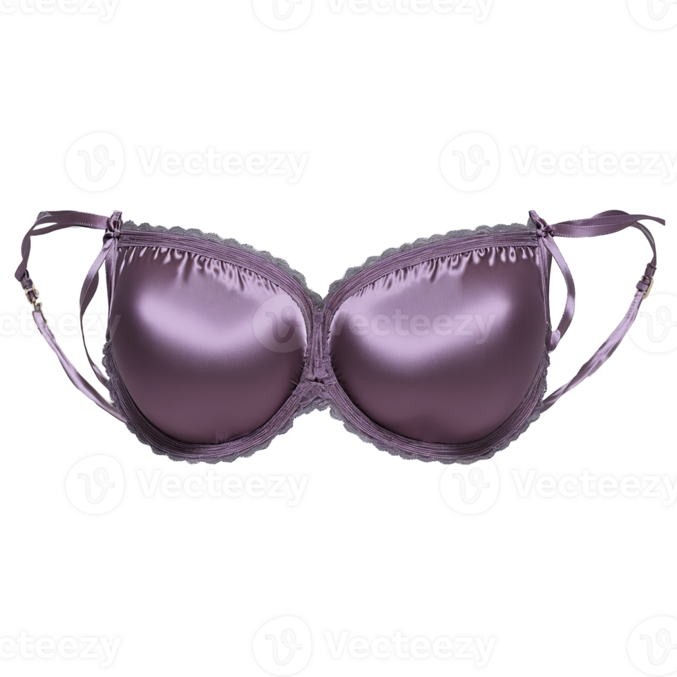 romantique mauve satin soutien-gorge une romantique mauve satin soutien-gorge avec une doux féminin Couleur mettant en valeur png