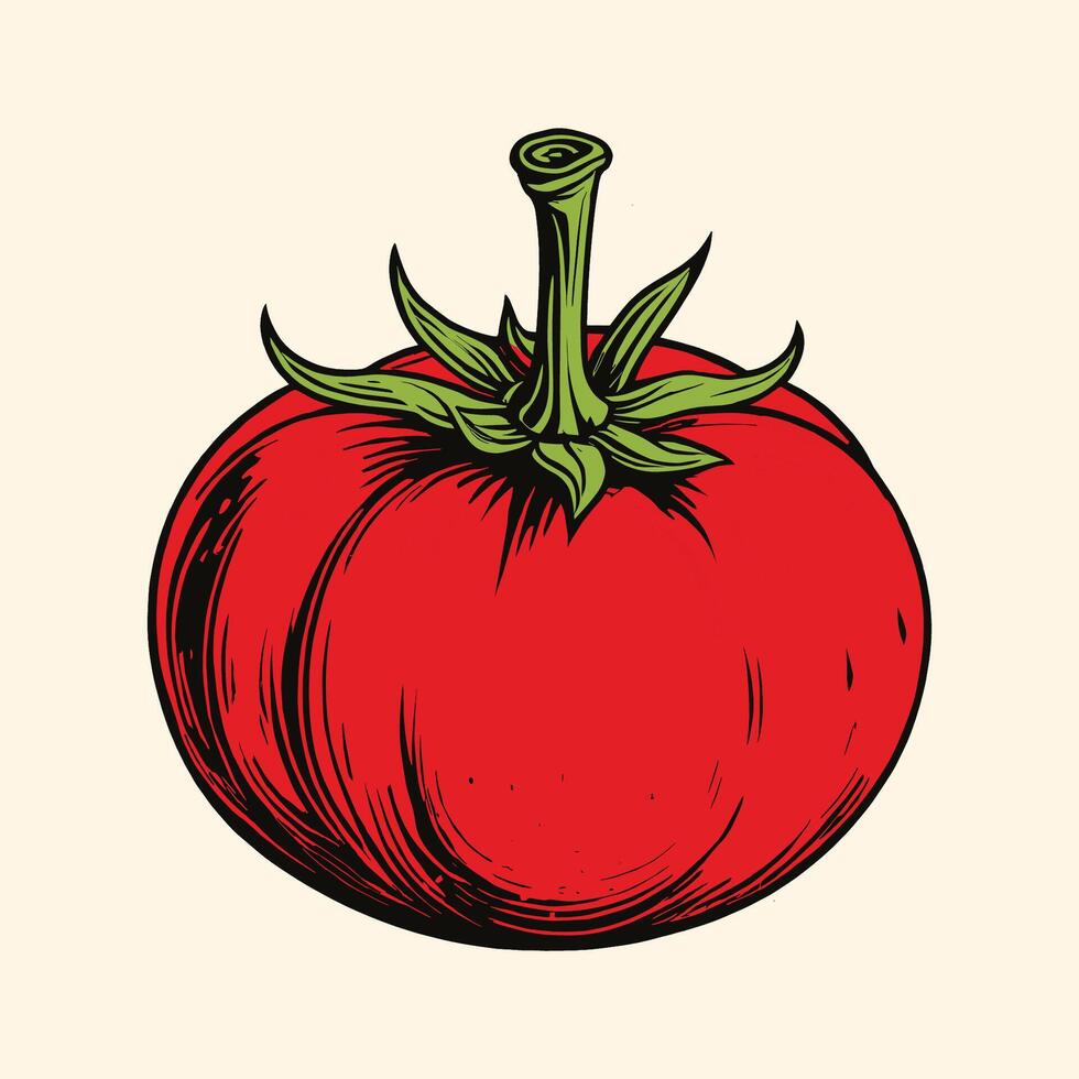 Hand Drawn Tomato Engraved vector