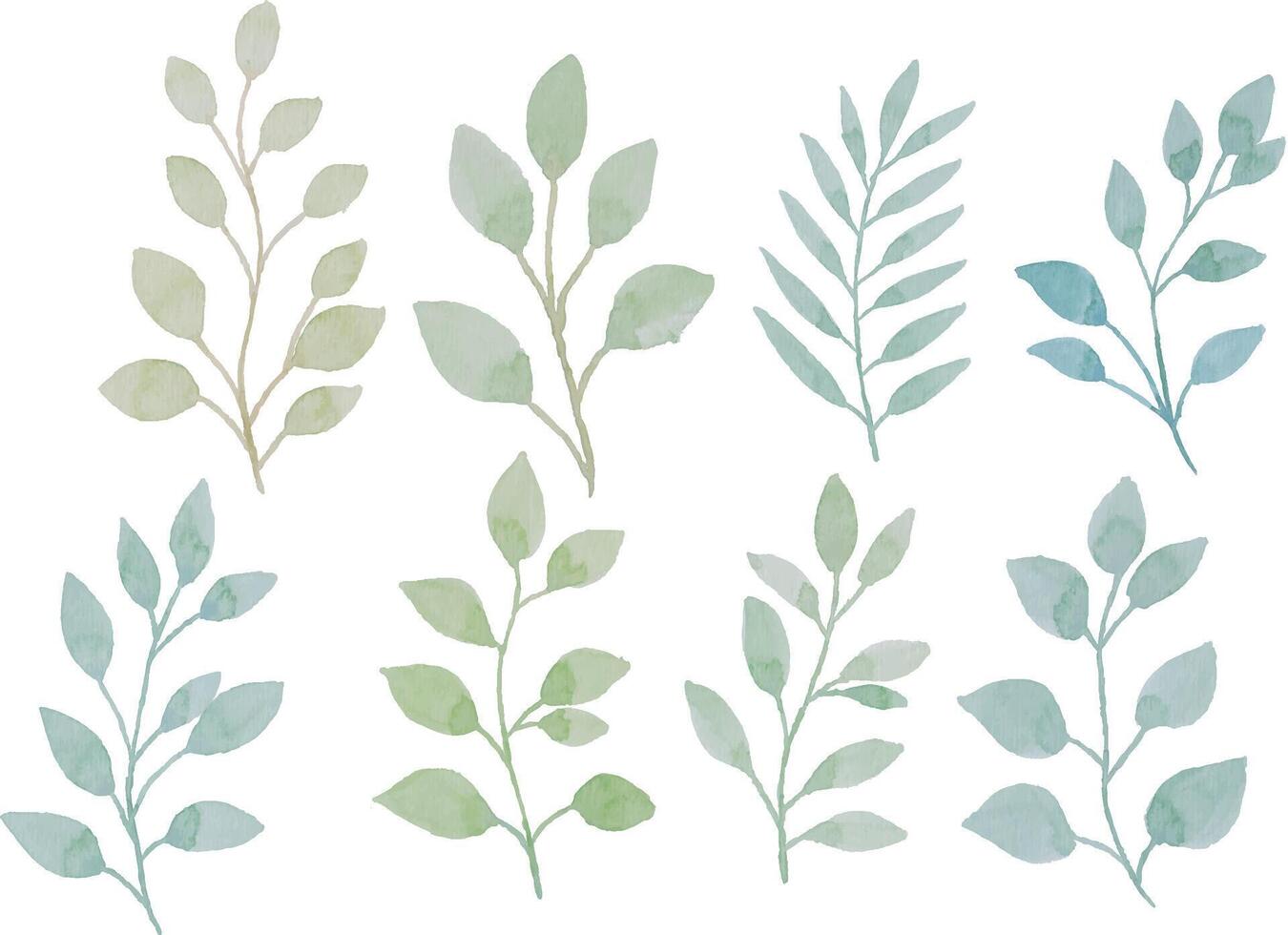 Assortment of watercolor leaves illustration set - green leaf branches collection for wedding, greetings, stationary, wallpapers, fashion, background. olive, green leaves, Eucalyptus etc vector