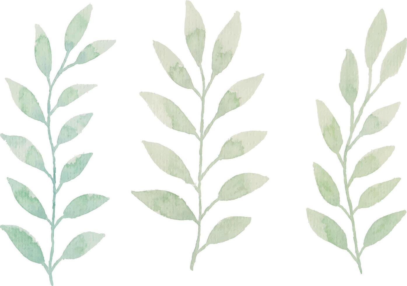 Assortment of watercolor leaves illustration set - green leaf branches collection for wedding, greetings, stationary, wallpapers, fashion, background. olive, green leaves, Eucalyptus etc vector