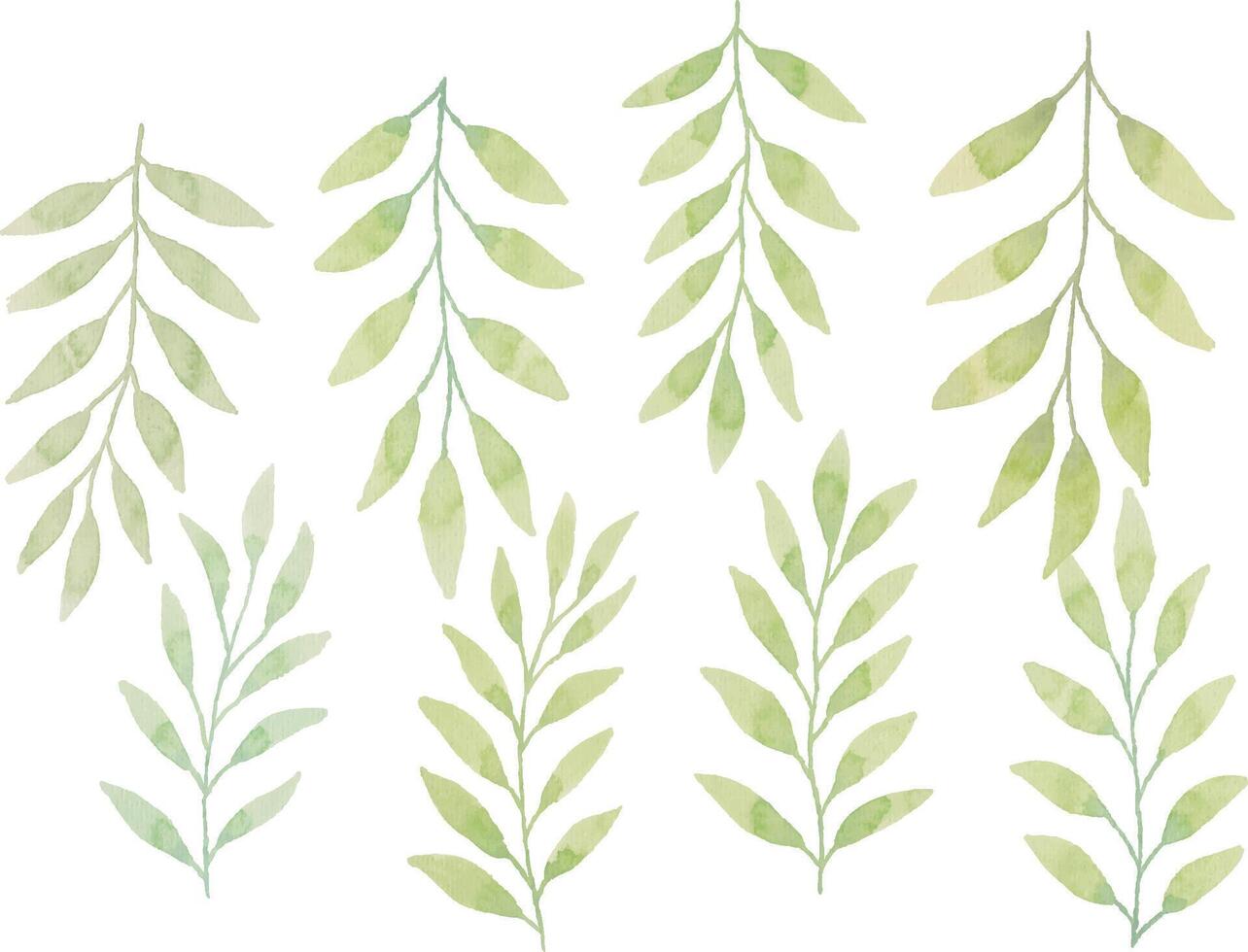 Assortment of watercolor leaves illustration set - green leaf branches collection for wedding, greetings, stationary, wallpapers, fashion, background. olive, green leaves, Eucalyptus etc vector