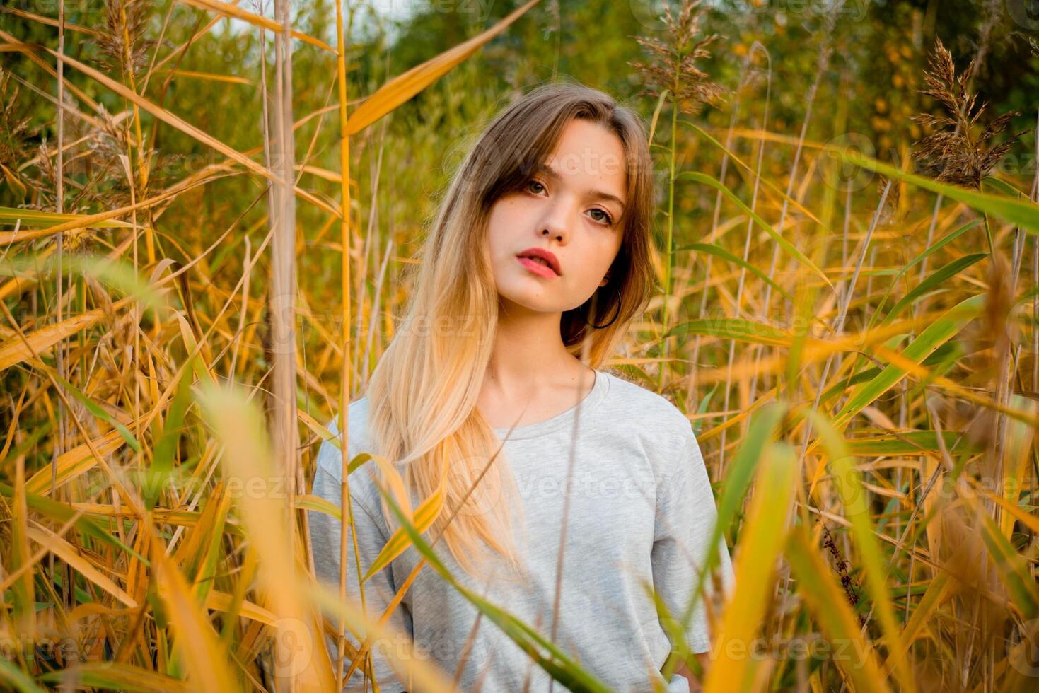 Beautiful young girl wearing blank gray t-shirt and black jeans posing against high green and yellow grass in early warm autumn. Outdoor portrait of beautiful female model photo