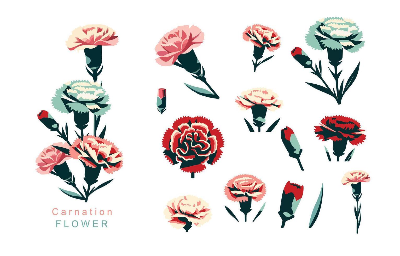 carnation object element.use for mother's day design vector
