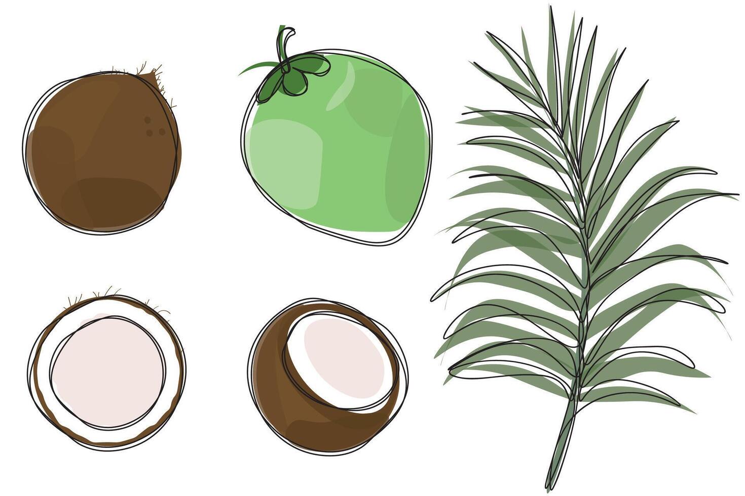 Set of hand drawn coconut vector