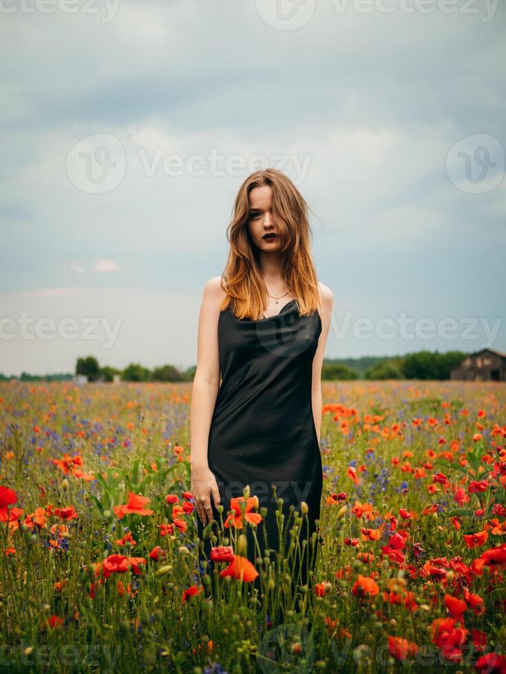 Beautiful young girl in a black evening dress posing against a poppy field on a cloudy summer day. Portrait of a female model outdoors. Rainy weather. Gray clouds. photo