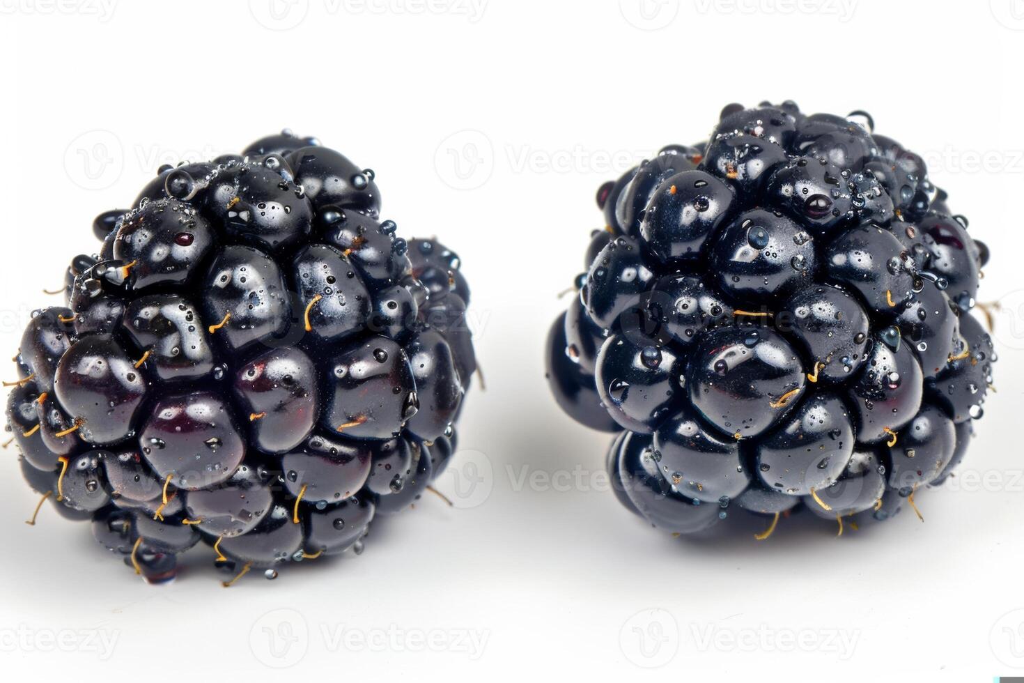 two juicy blackberries with water droplets, isolated on a white background photo