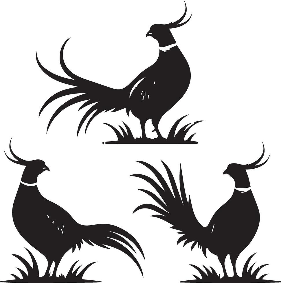 Pheasant silhouette isolated on white background. Pheasant logo vector