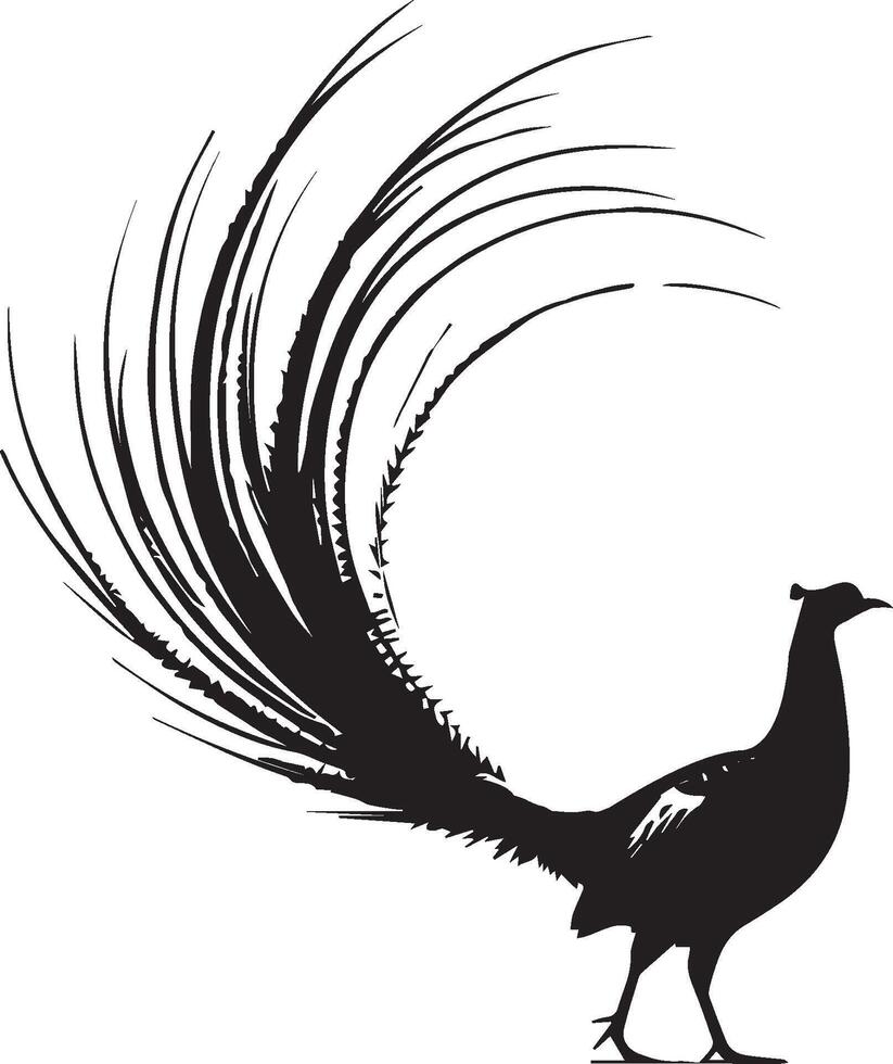 Pheasant silhouette isolated on white background. Pheasant logo vector