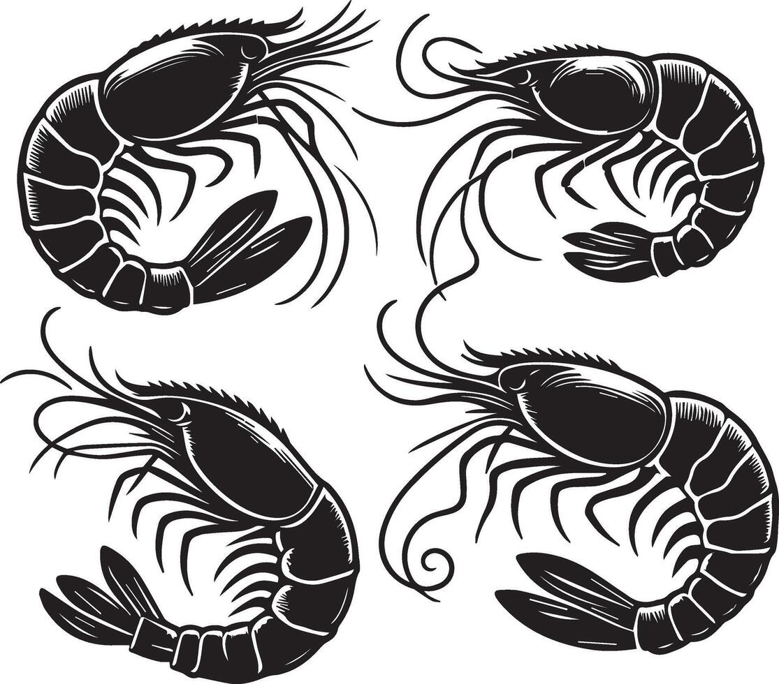 Shrimp silhouette on white background. shrimp logo vector