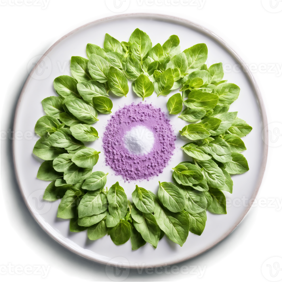 Marjoram mandala a sweet circular pattern of marjoram leaves with powder dusting and steam rising png