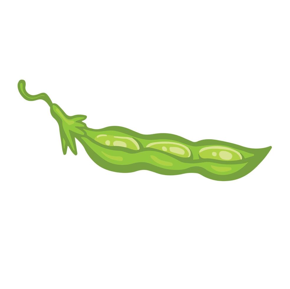 Green open pod of soybean or pea, bean cartoon style illustration. vector