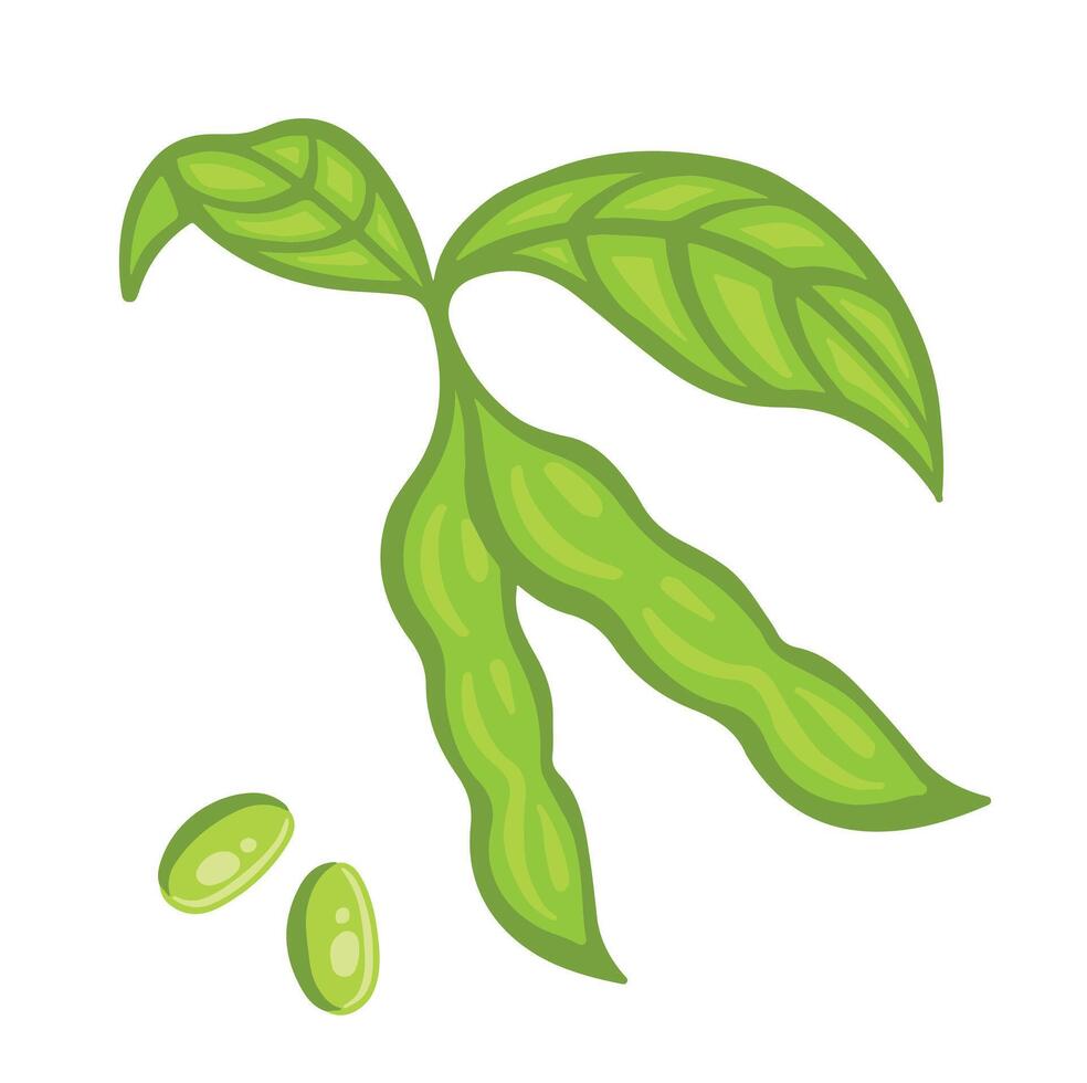 Green soybean pods with leaves or peas, beans cartoon style illustration. vector