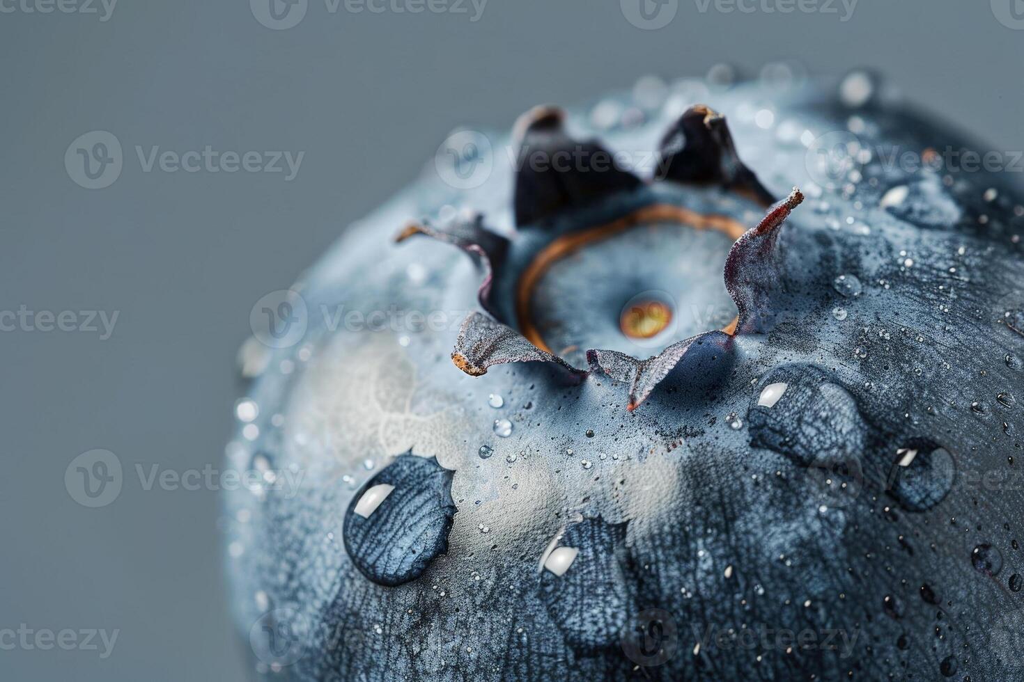 macro Disparo de un arándano con visible textura, aislado en un gris antecedentes foto