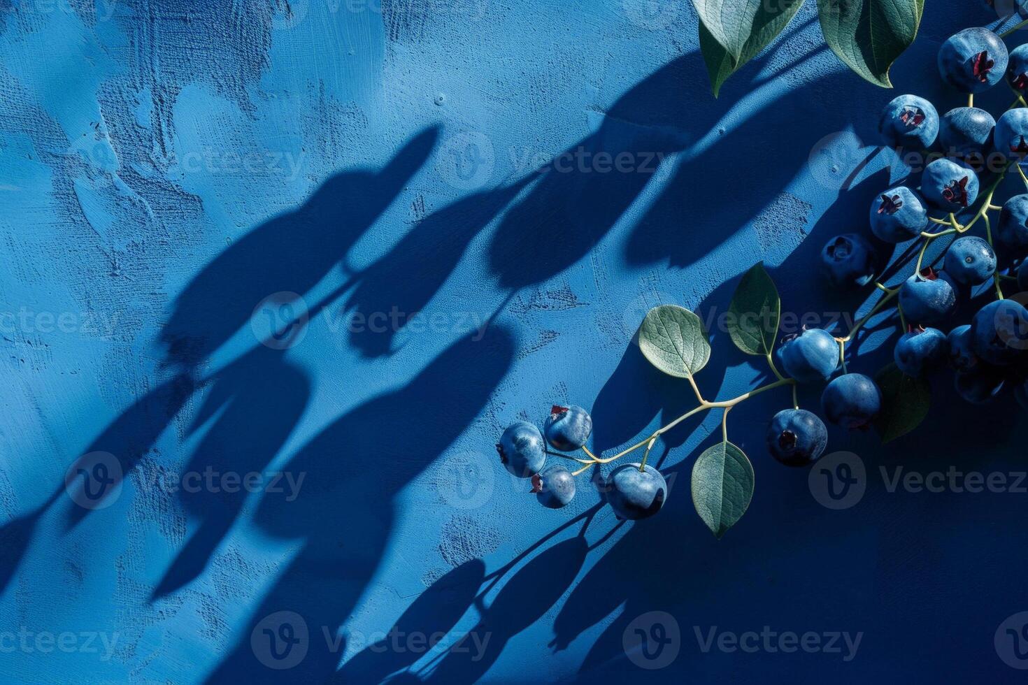 Blueberry shadow on a gradient dark blue background, artistic minimalism with a place foer text photo