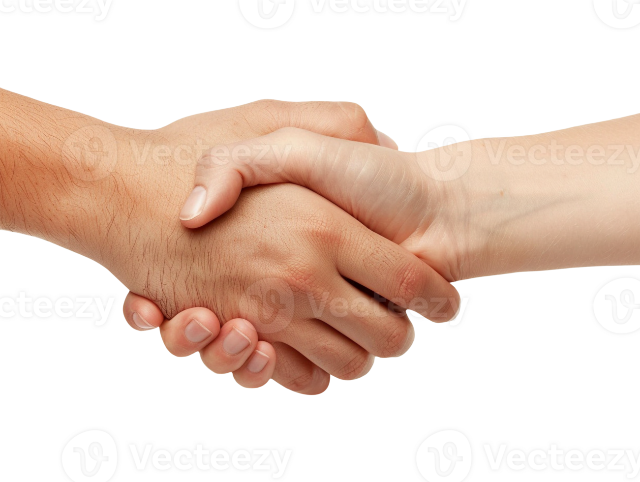 two hands shaking hands png