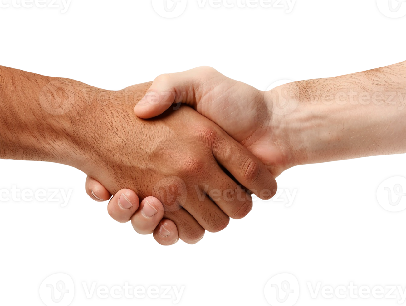 two hands shaking hands png