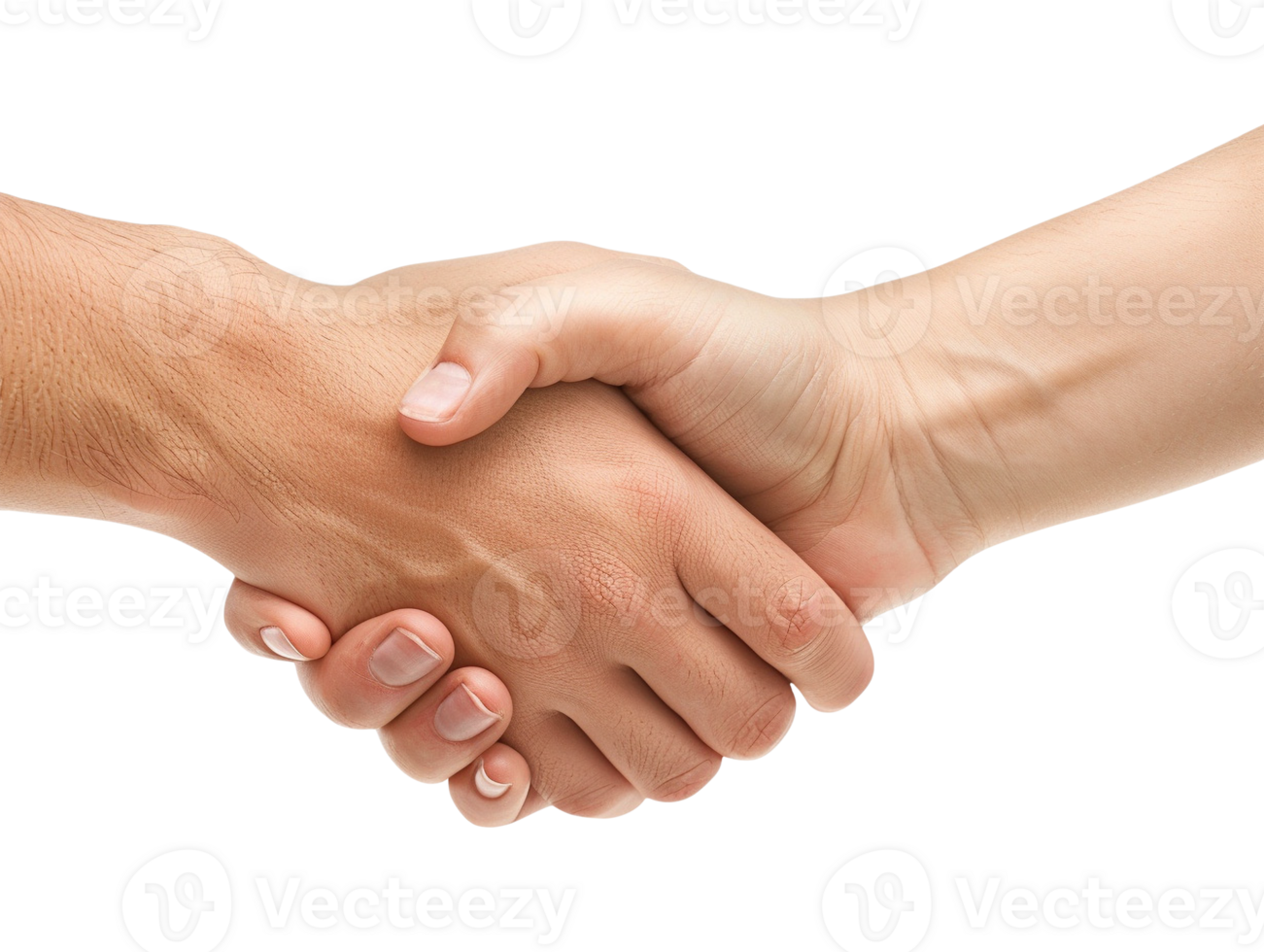 two hands shaking hands png