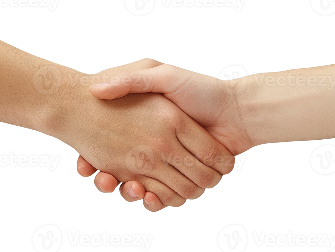 two hands shaking hands png