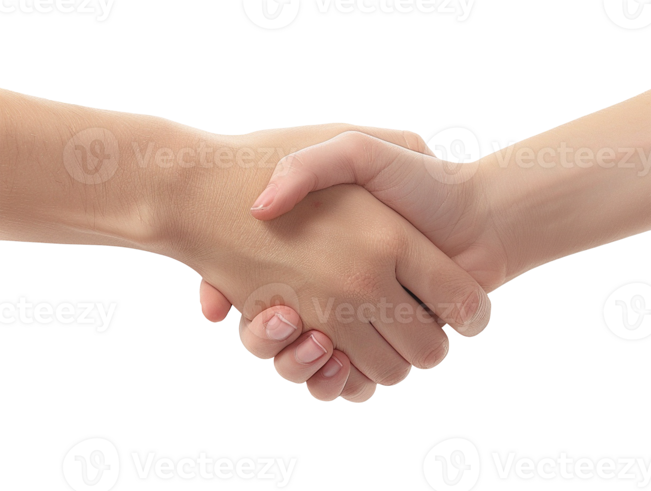 two hands shaking hands png
