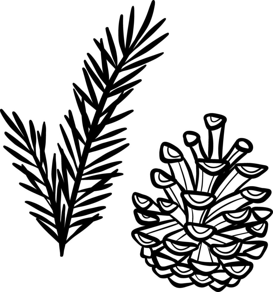 Hand drawn pine and pine cone illustration, clip art set, isolated vector