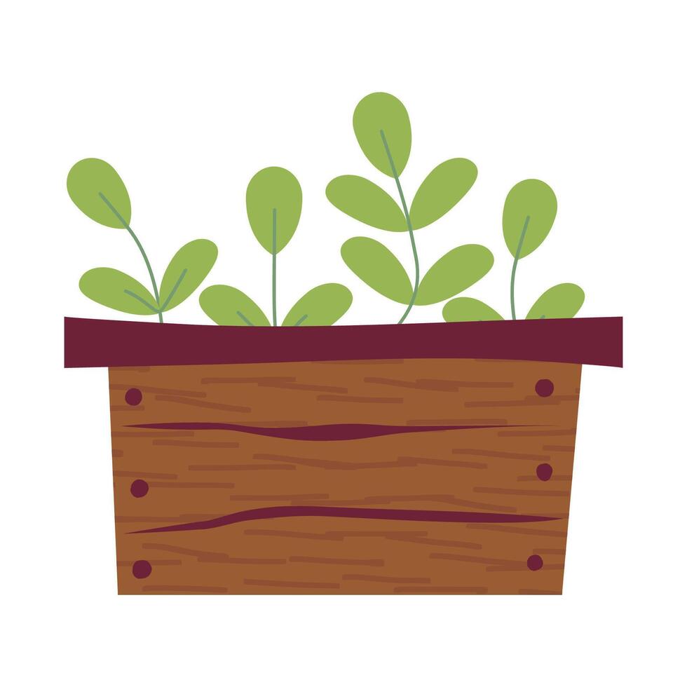 dibujo de linda caja con plántulas sano césped en de madera caja. ilustración. jardinería, plantas. de colores ilustración. dibujos animados diseño para póster, icono, tarjeta, logo, etiqueta vector