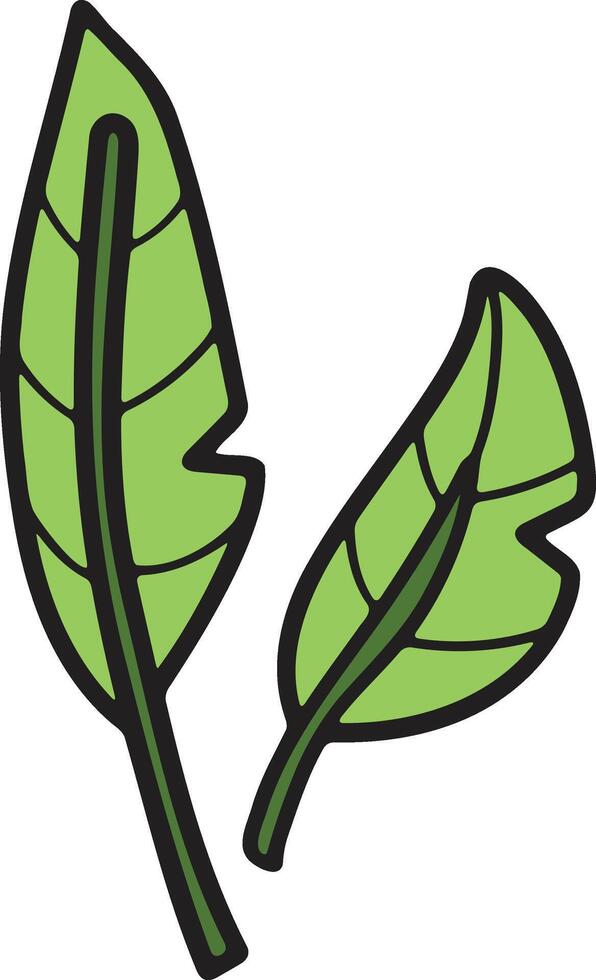 A leafy plant with a black outline vector